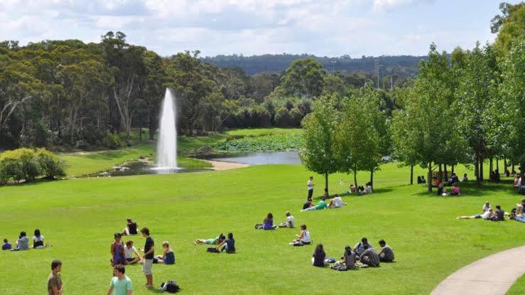 Tranquil Garden View Macquiare Marsfield Eastwood Homestay Sydney