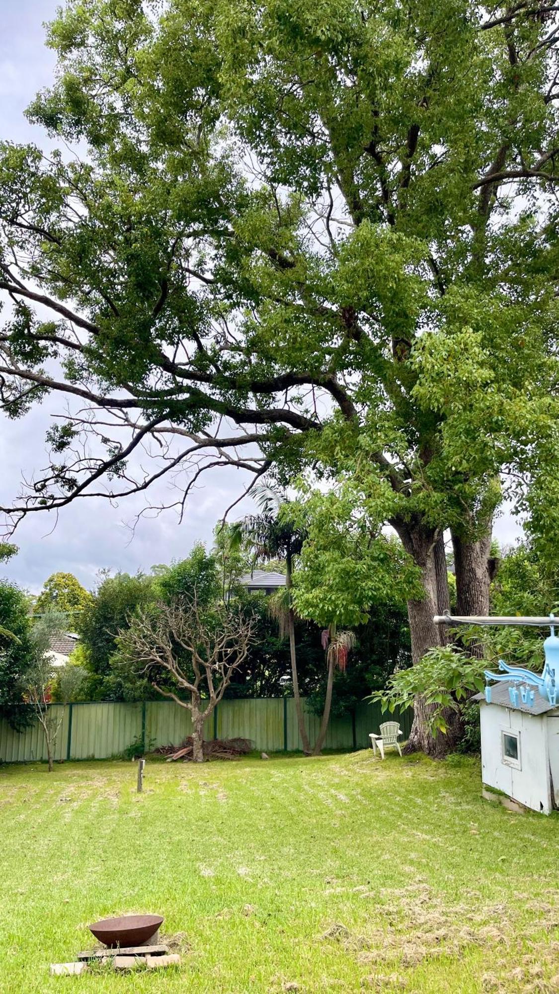 Tranquil Garden View Macquiare Marsfield Eastwood * Sydney