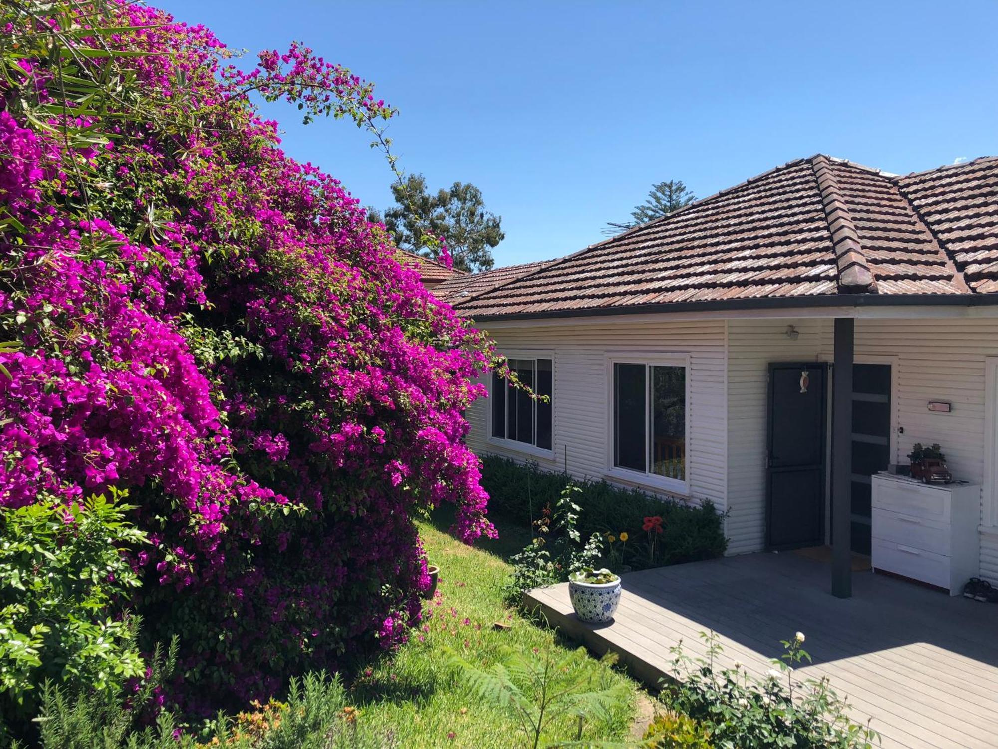 Tranquil Garden View Macquiare Marsfield Eastwood